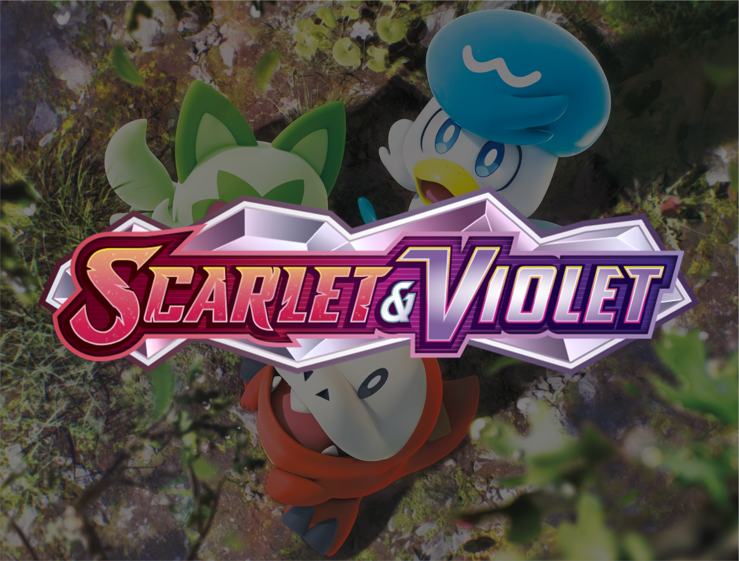 Scarlet & Violet