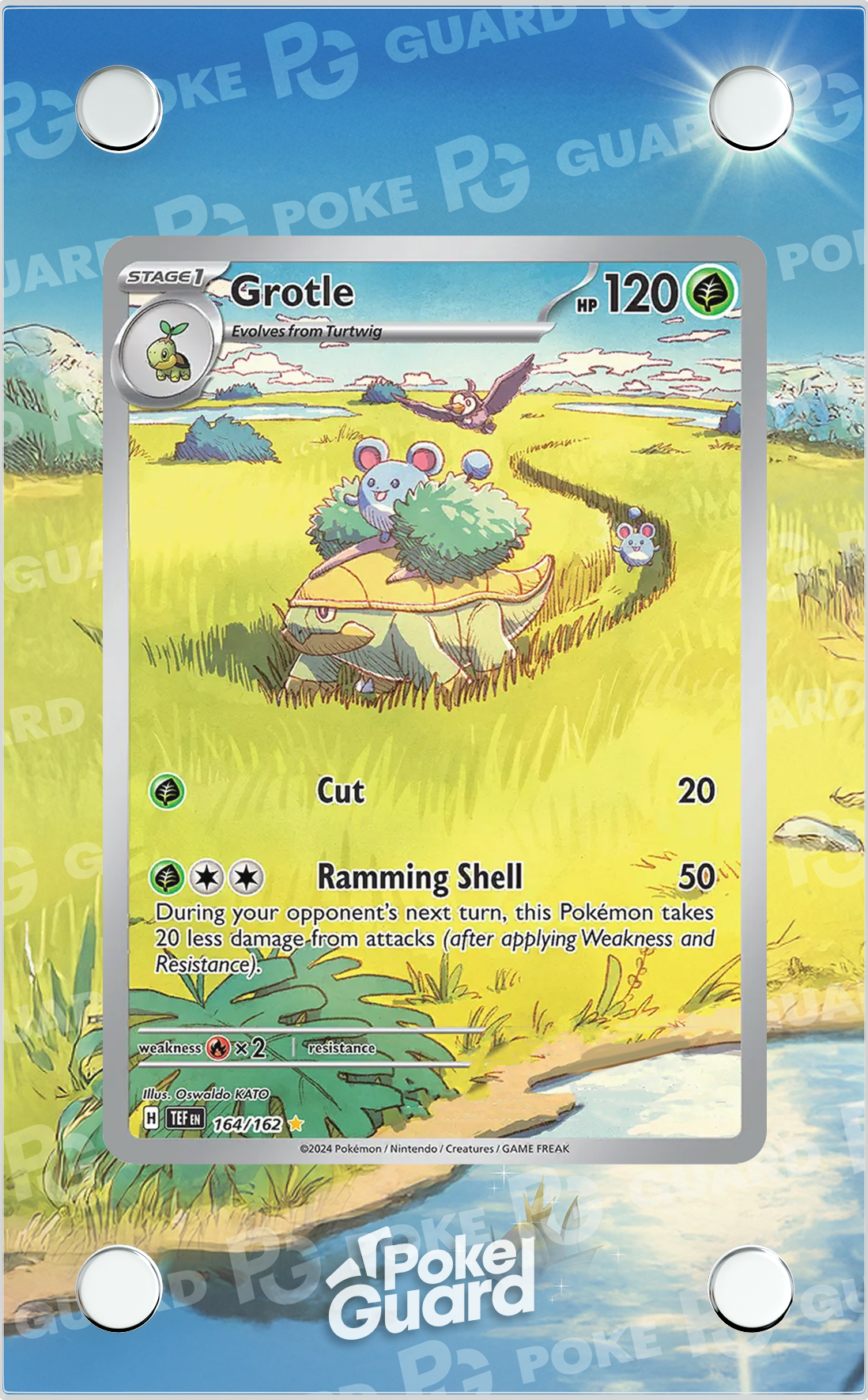 Grotle (164/162)