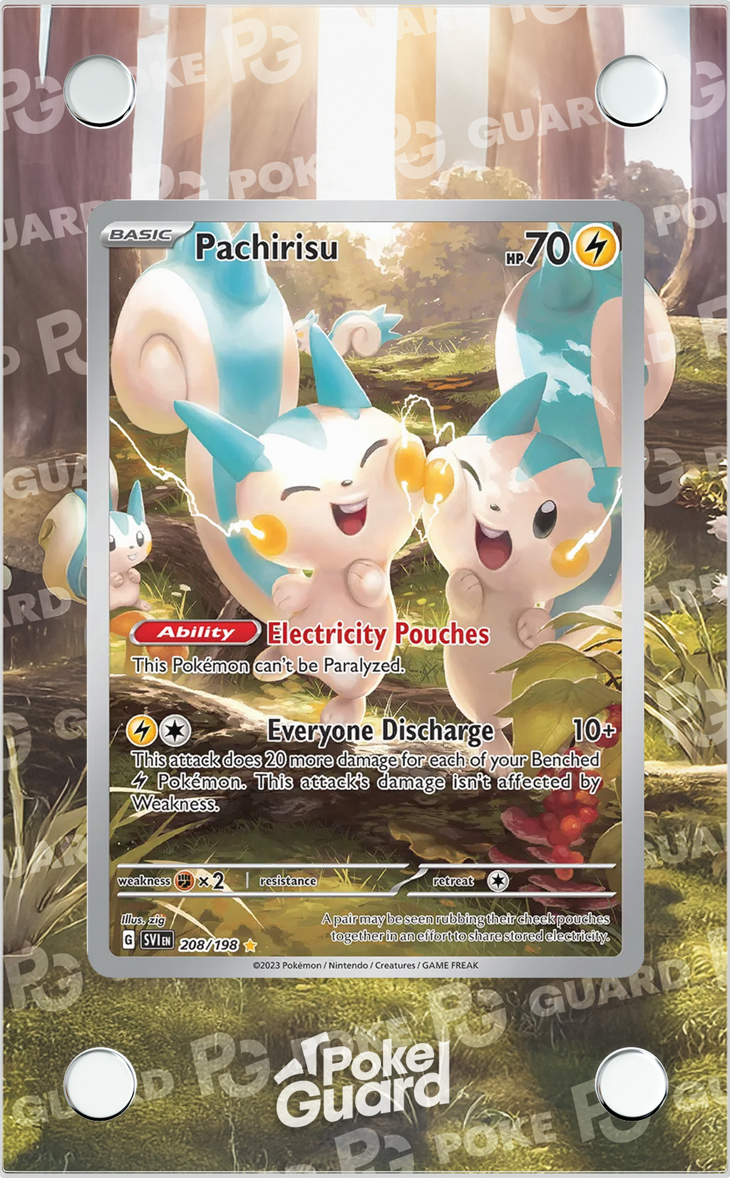 Pachirisu (208/198) PokeGuard Pachirisu (208/198) PokeGuard